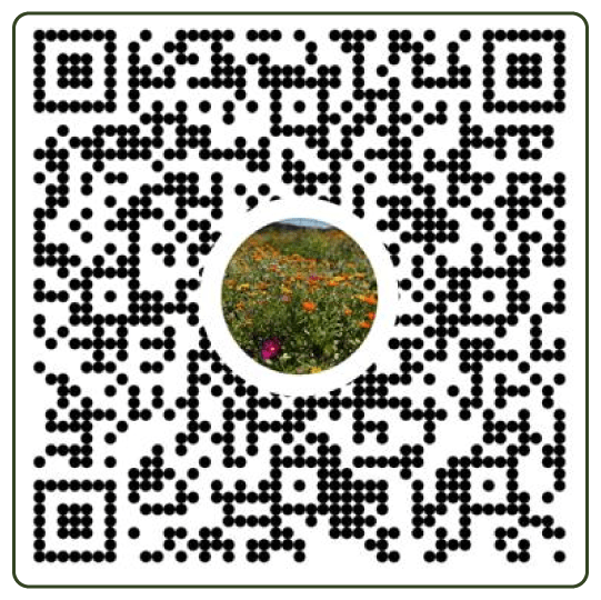 Qr-MyJ1